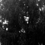 janvier4